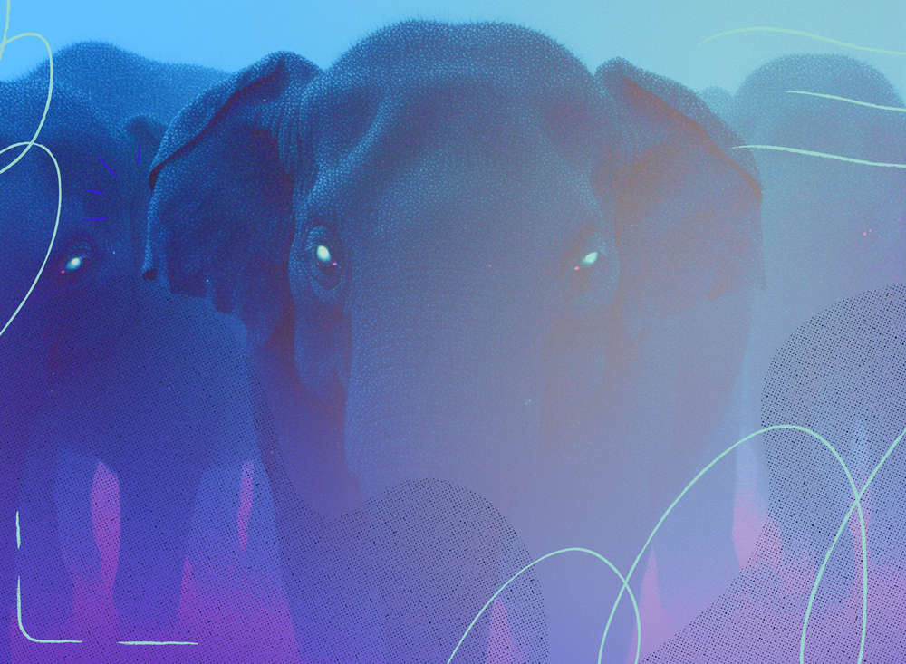 Stylized illustration of three dark elephants walking forward through blue and pink mist, their eyes softly glowing with dust particles surround them.