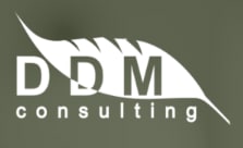 Logo DDM Consulting Deutschland GmbH