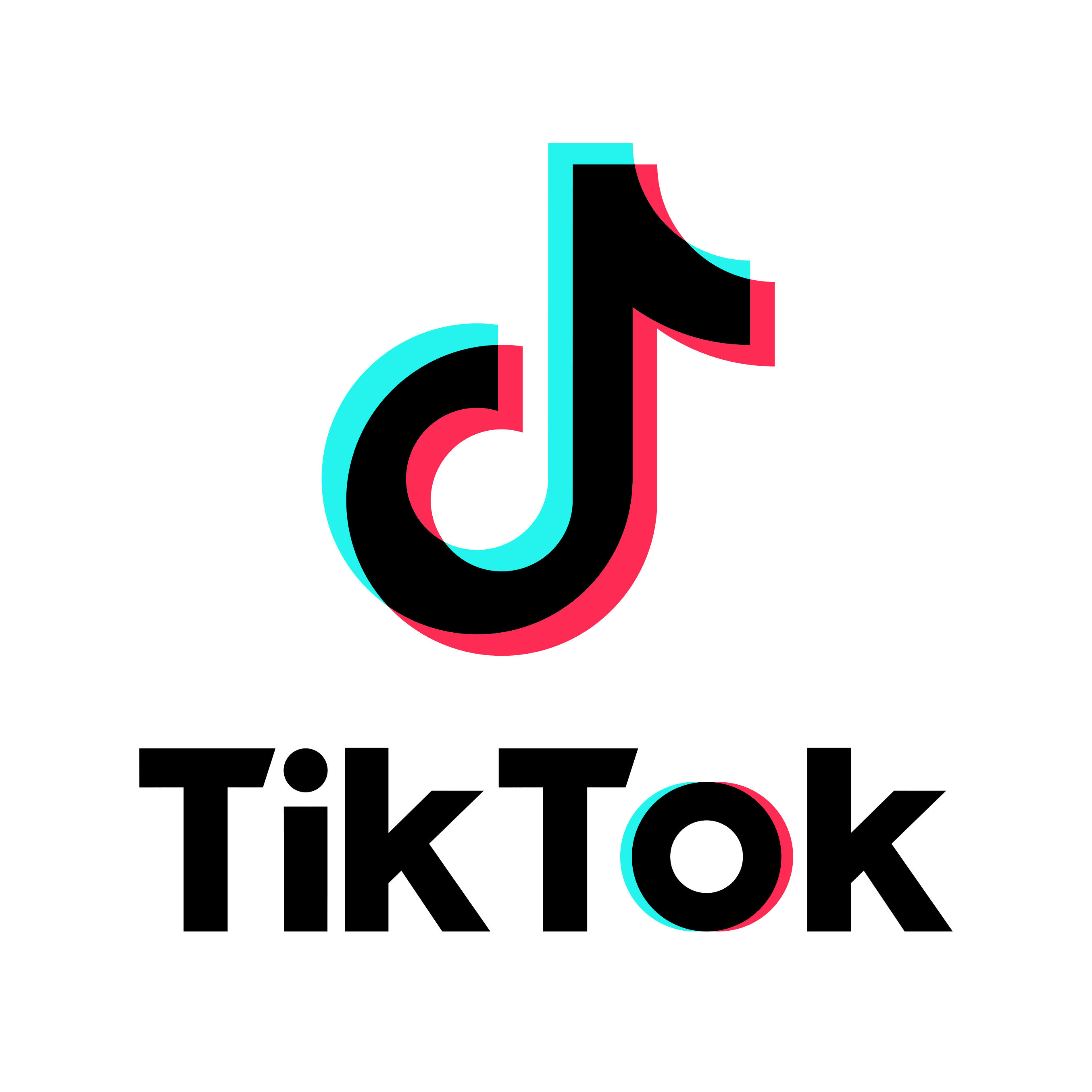 Webinar: "Grow with TikTok"