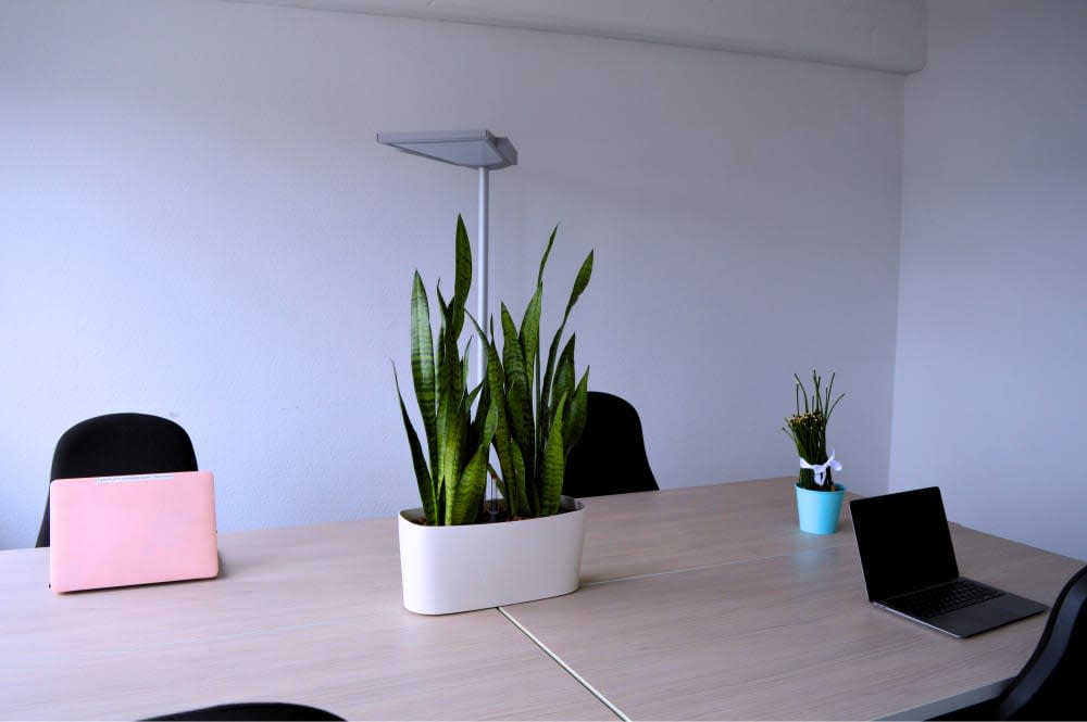 Büro Ibiza – STARTPLATZ Düsseldorf