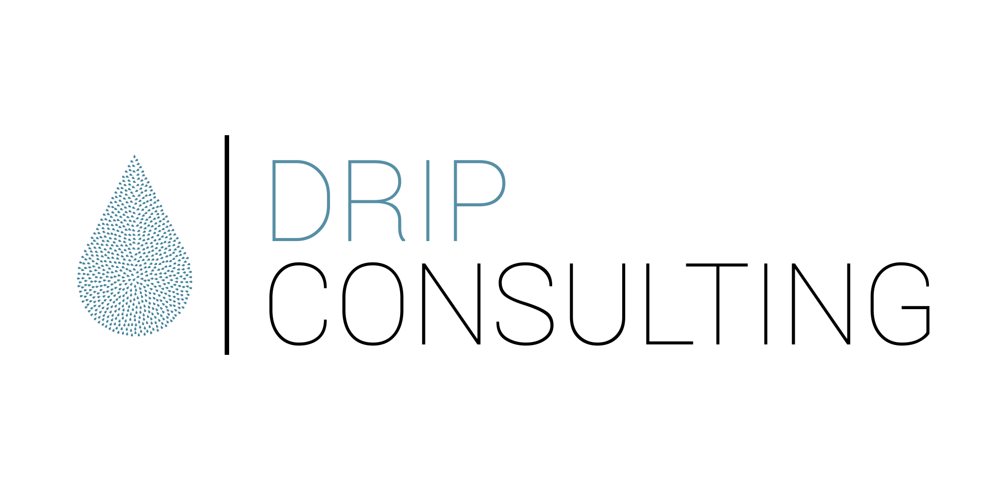 Logo drip consulting e. V.