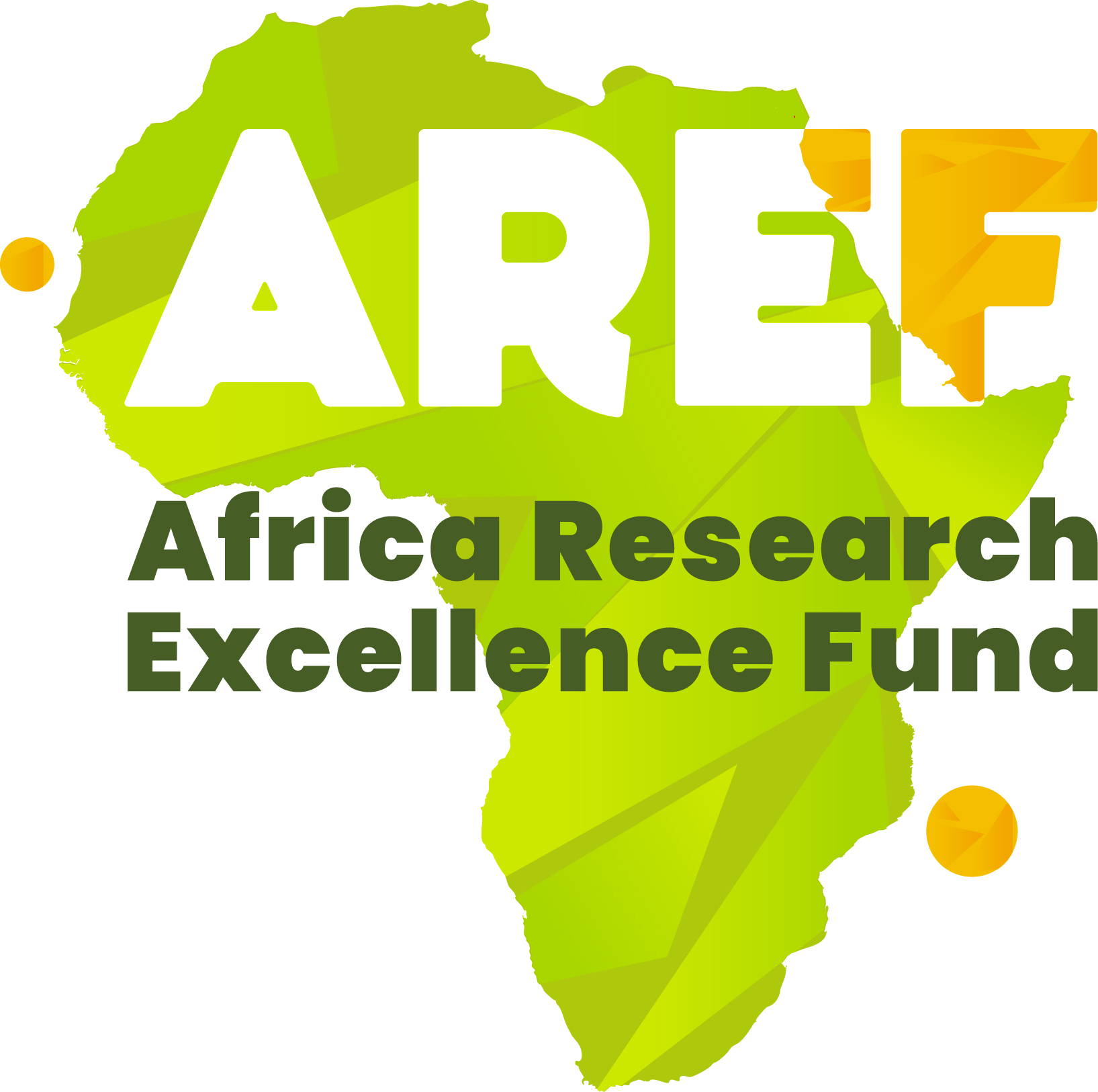Africa Research Excellence Fund