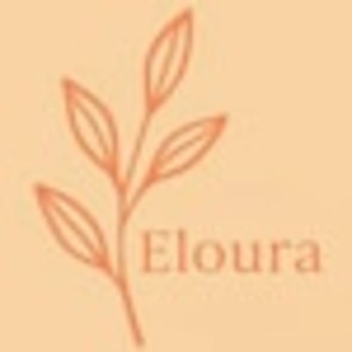 ElouraTransfers