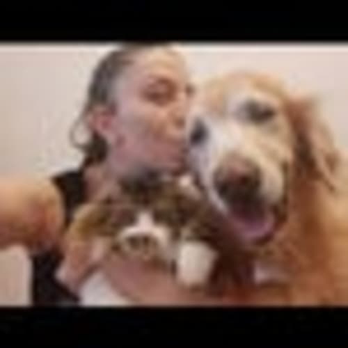 AhaniaArtDolls