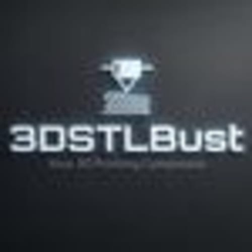 3DSTLBUST