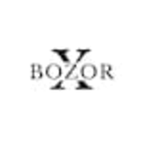 BoZorX