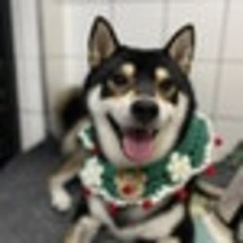 PawfooShop