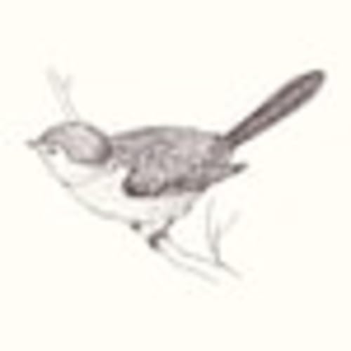 HedgerowCottageWren