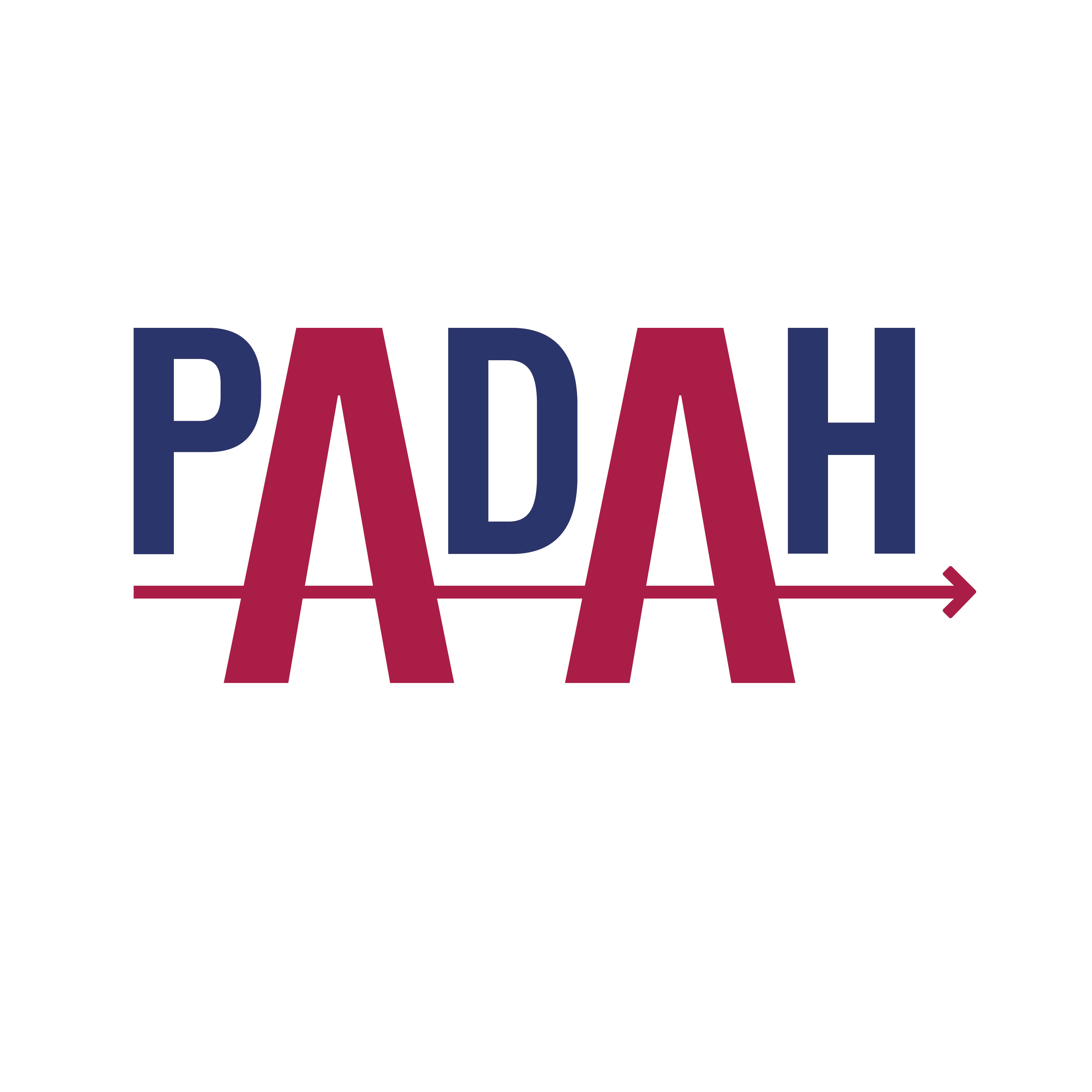 Padah Solutions PVT LTD logo