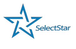 SelectStar Solutions logo