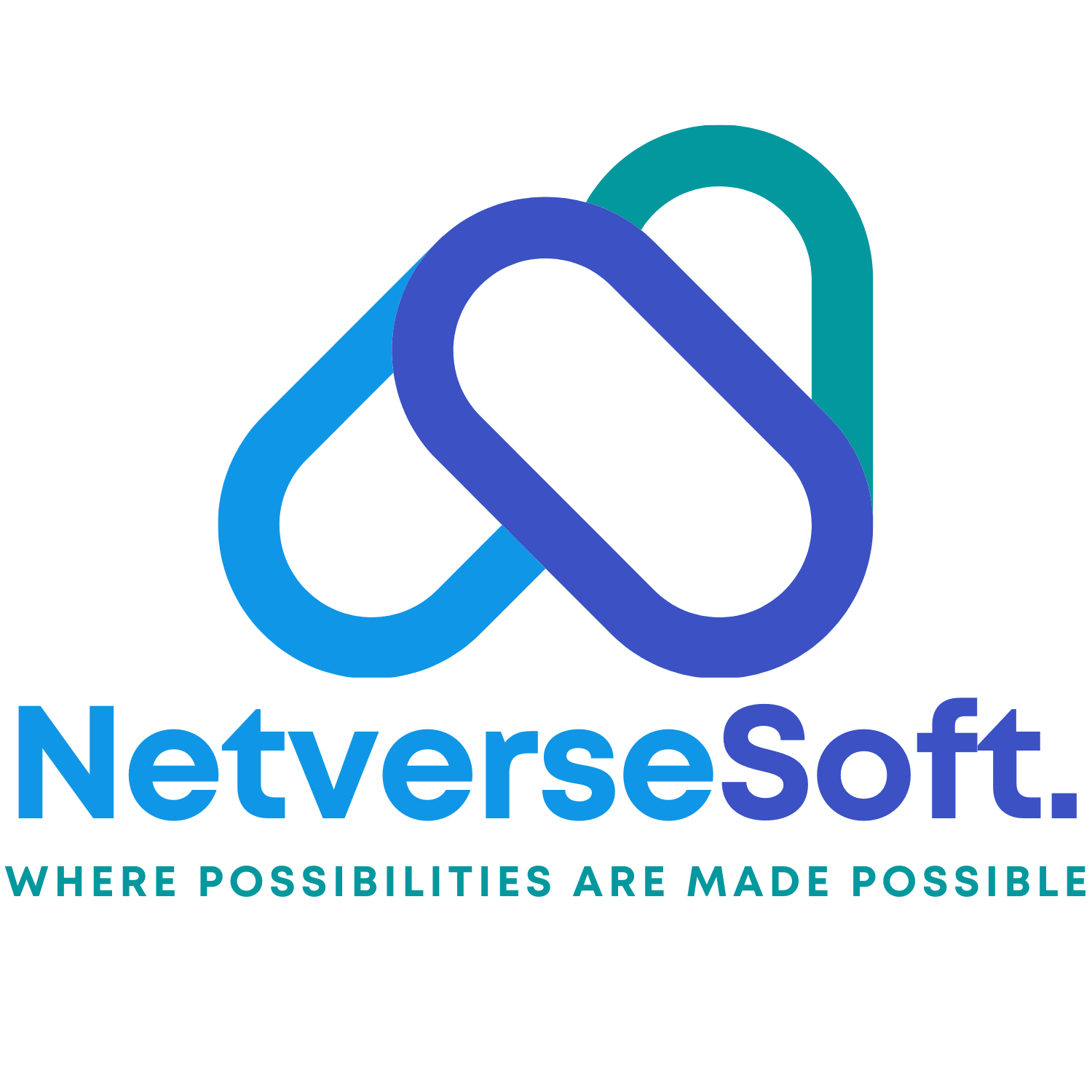 NetverseSoft logo
