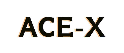 ACE-X Intelligence logo