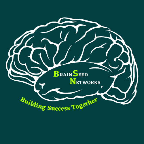 BrainSeed Networks logo
