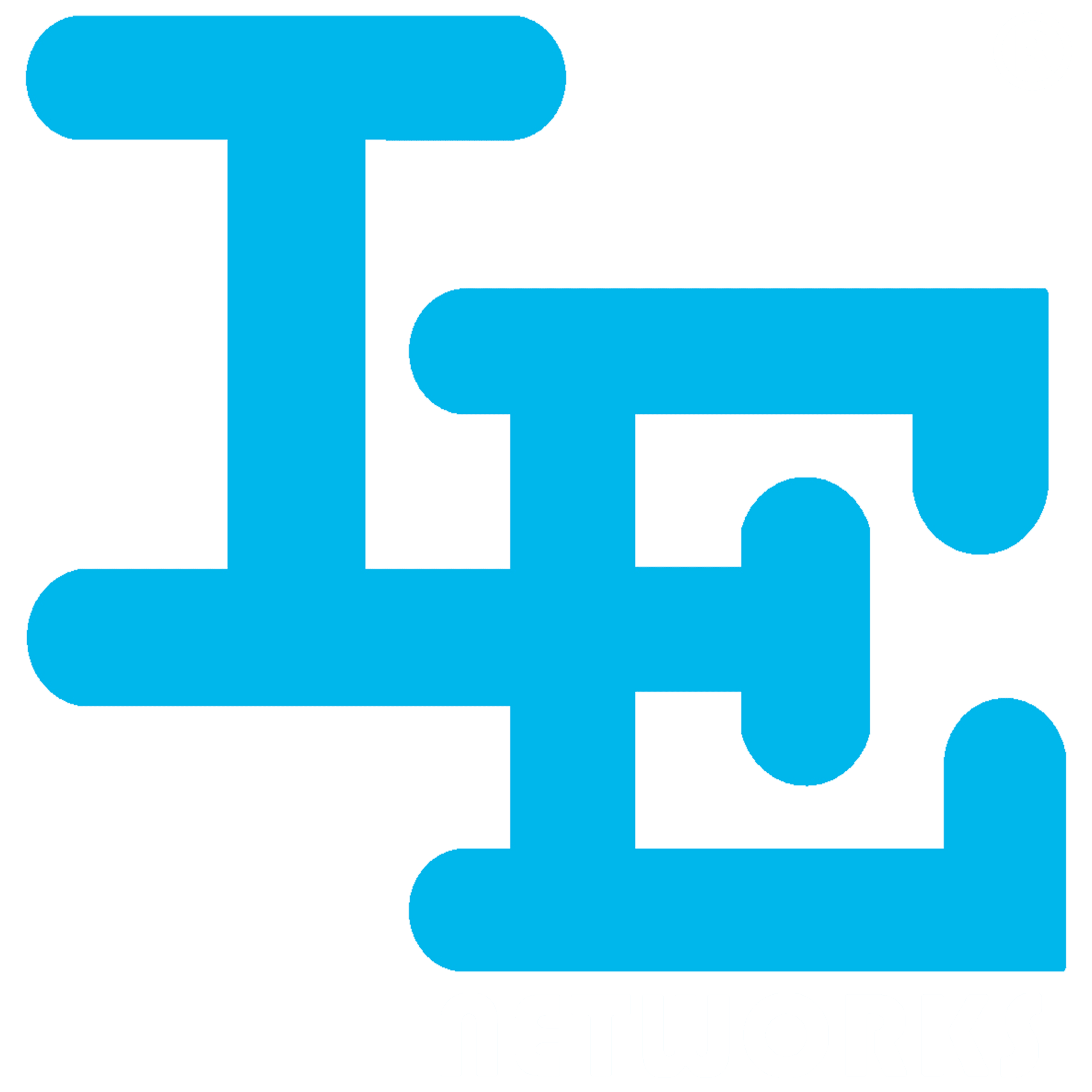 IE Network Solutions logo