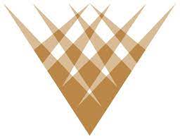 Visionary Wealth Advisors logo