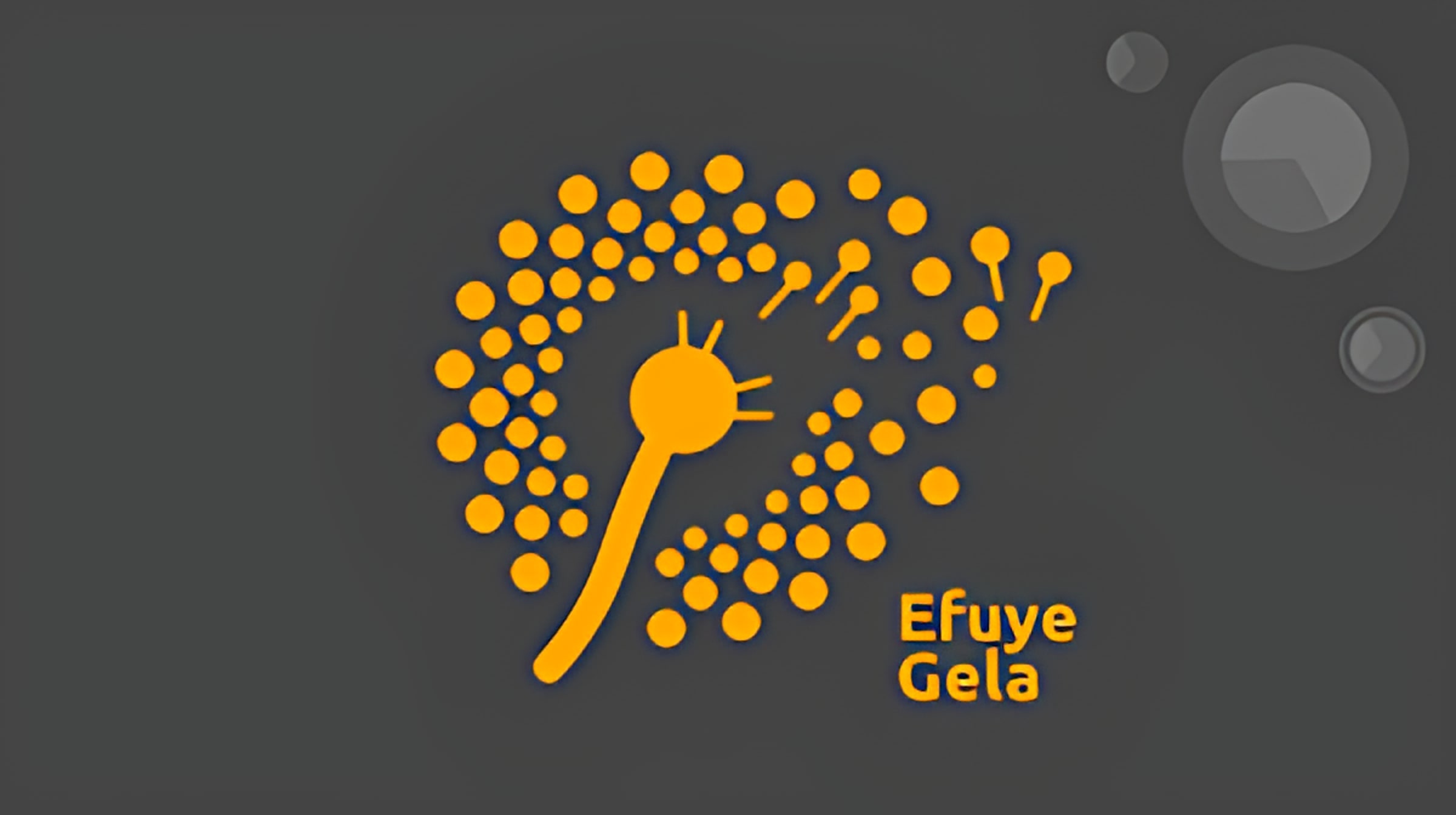 Efuye Gela logo