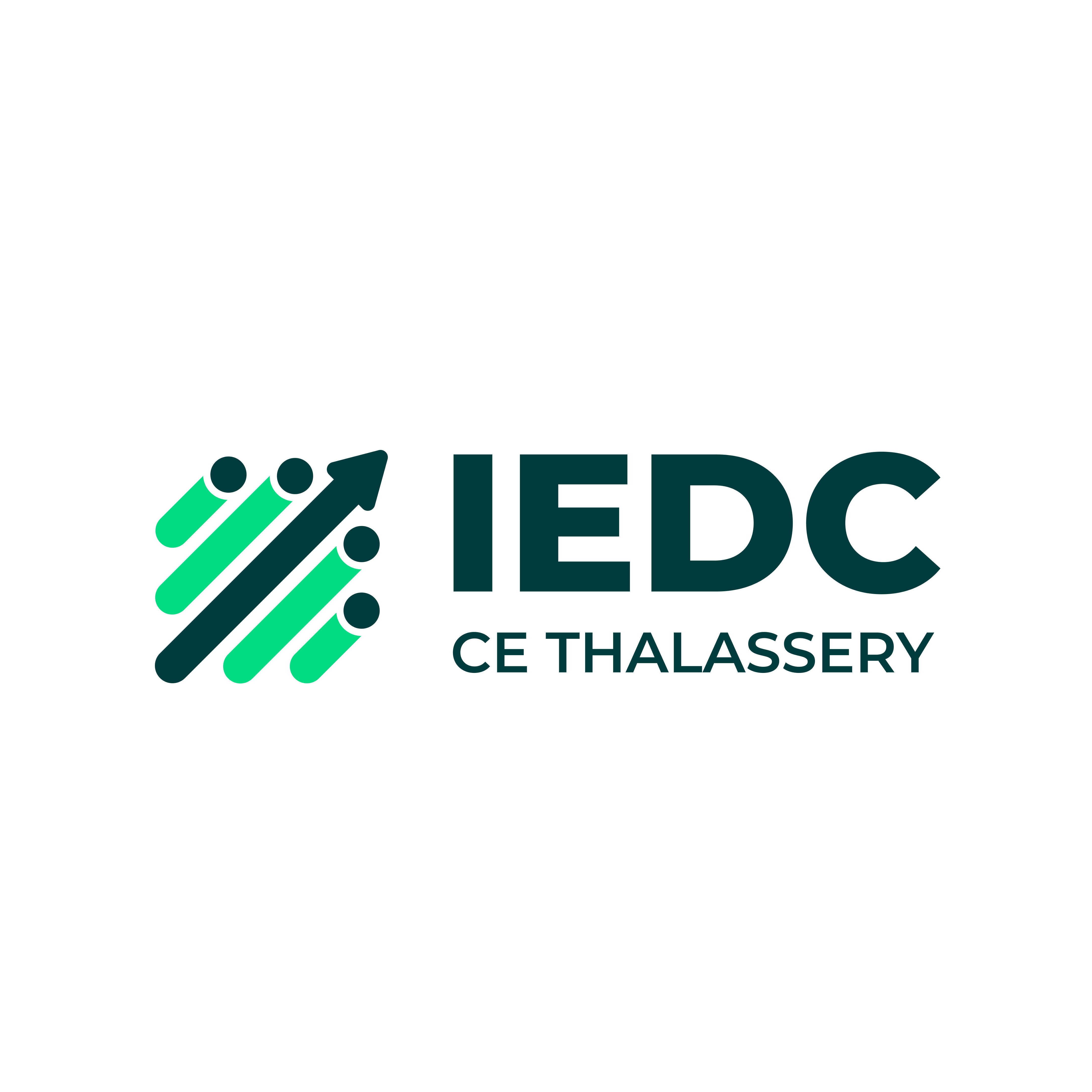 IEDC CETLY logo