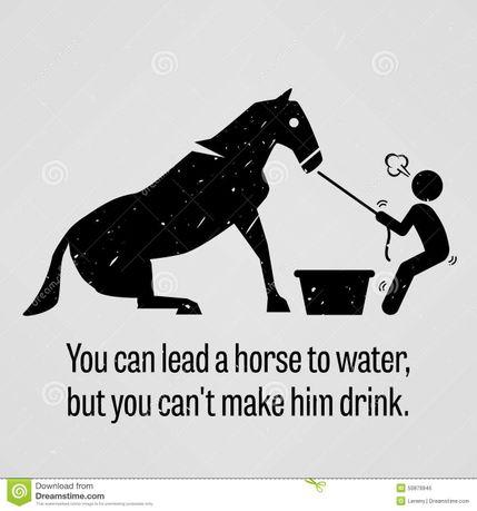 You can lead.jpg