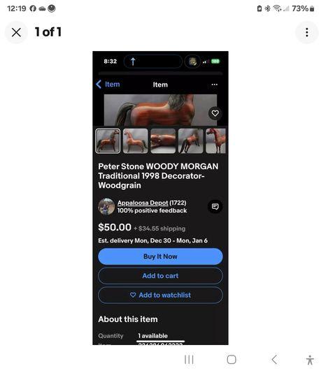 What my buyer sees.