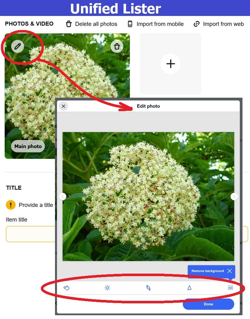 https://shipscript.com/ebayhelp/lister_unified/2022/ul_2022_image_editor_options.jpg