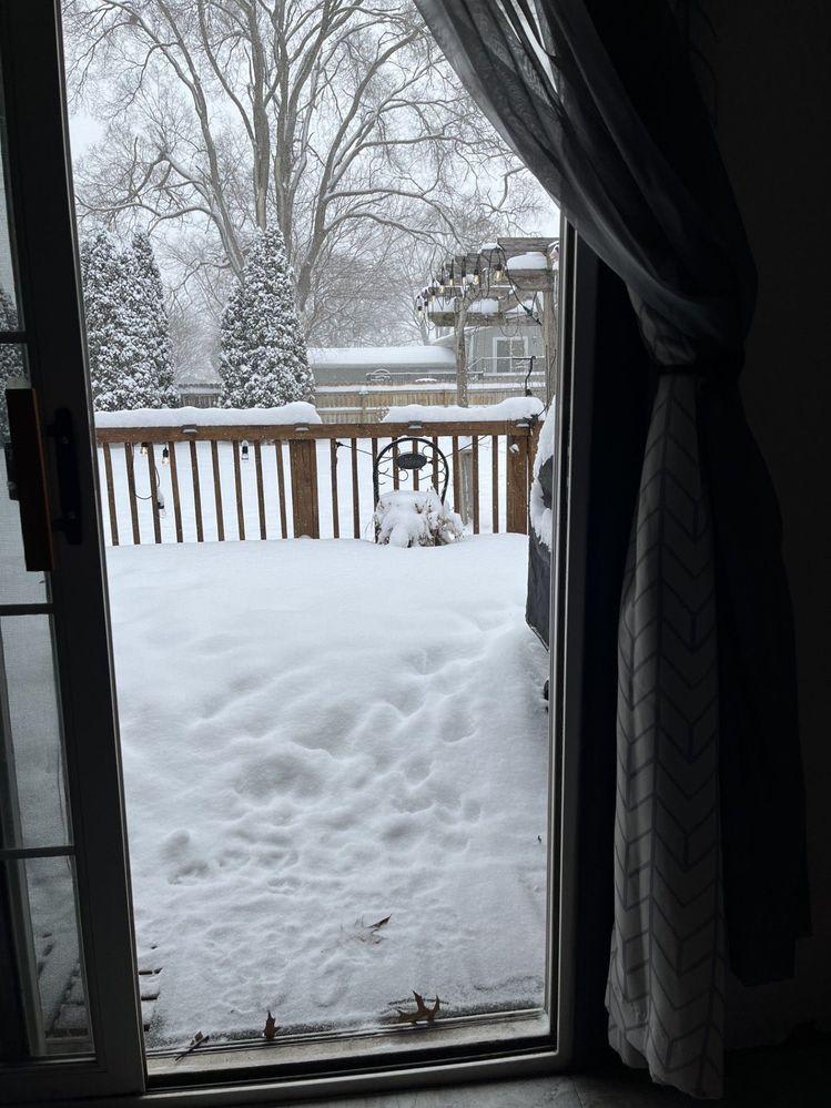 Snow.jpg