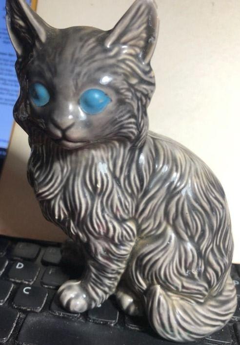 cat long hair all.JPG