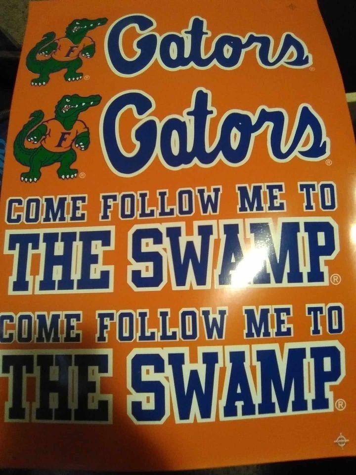 gators.jpg
