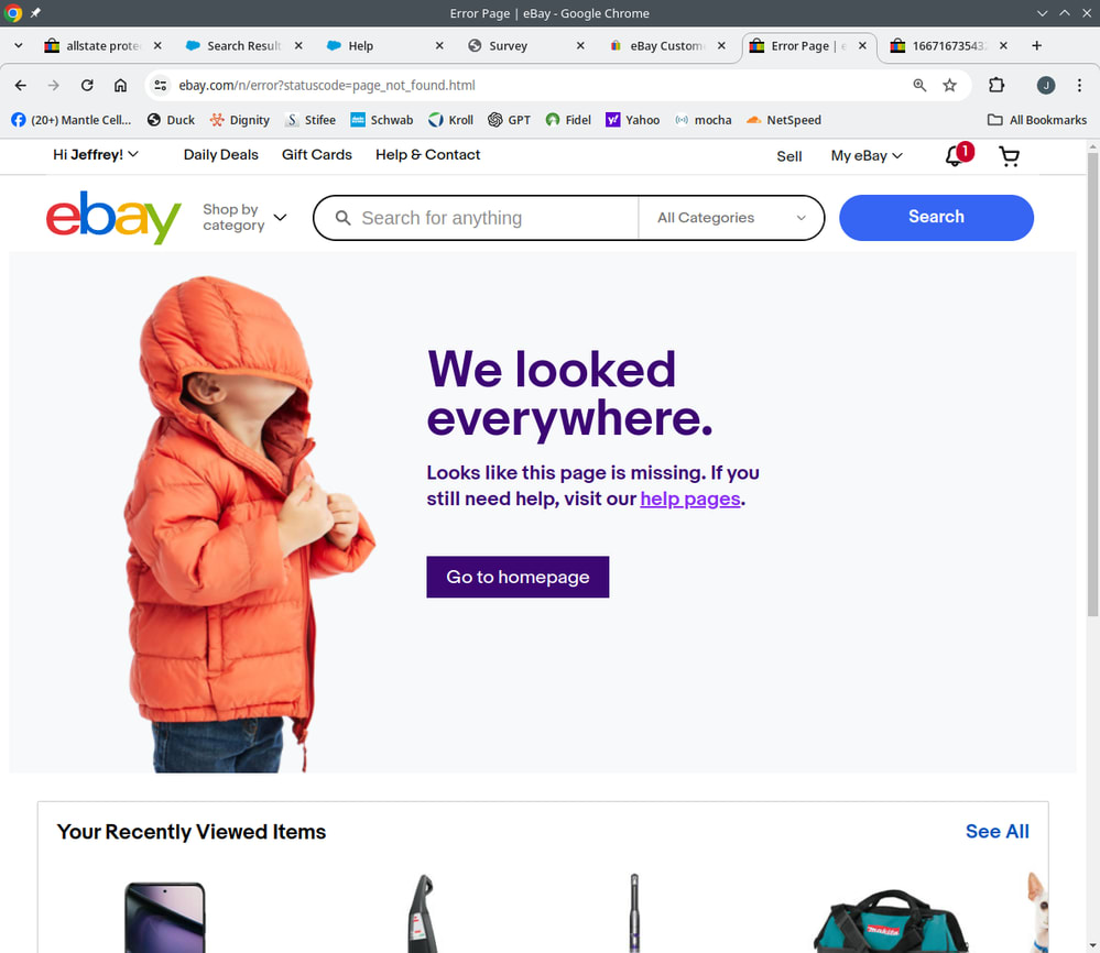 eBay_Item_not_found.png