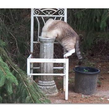 blue bird bath stand.jpg