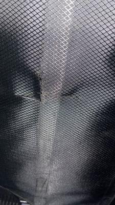 IMG_2079.jpeg
