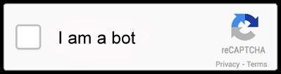 bot.jpg