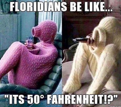 FL.jpeg