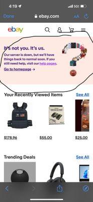 IMG_4350.jpeg