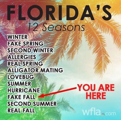 seasons.jpg