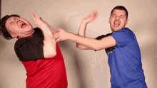 slapfight.gif