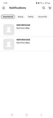 Screenshot_20230325_174617_eBay.jpg