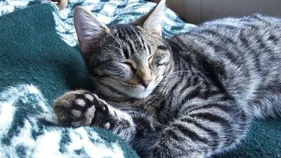 IMG_20251108_133159_01.jpg