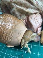 IMG_1016.jpeg