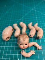 IMG_1017.jpeg