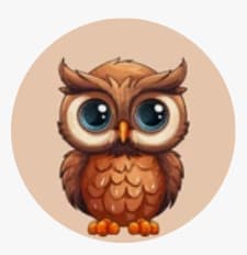 Cs Owlet logo