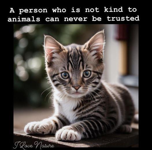 loveanimals.jpg