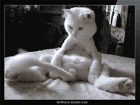 twyngwyn_0-1704946837130.gif