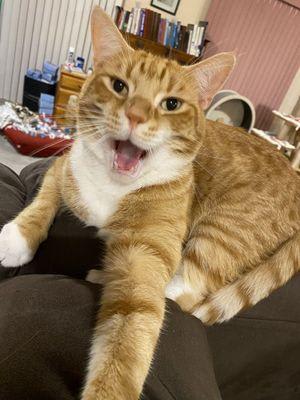 IMG_7120.jpeg