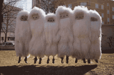 twyngwyn_0-1676963449121.gif