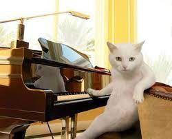 twyngwyn_0-1713750871122.jpeg