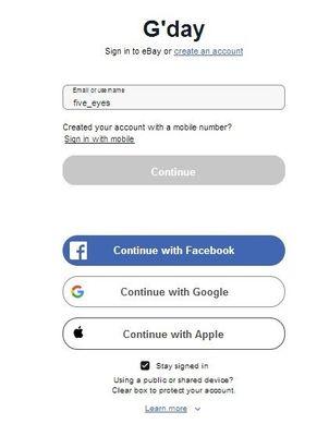 Ebay sign in.jpg