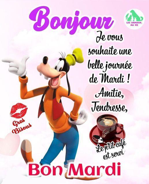 bonjour.jpg