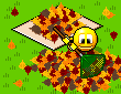 Garden 2.gif