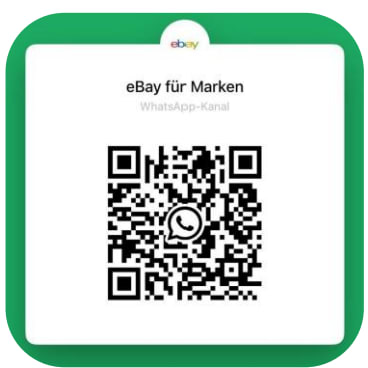 denewsebay_0-1763987034126.png