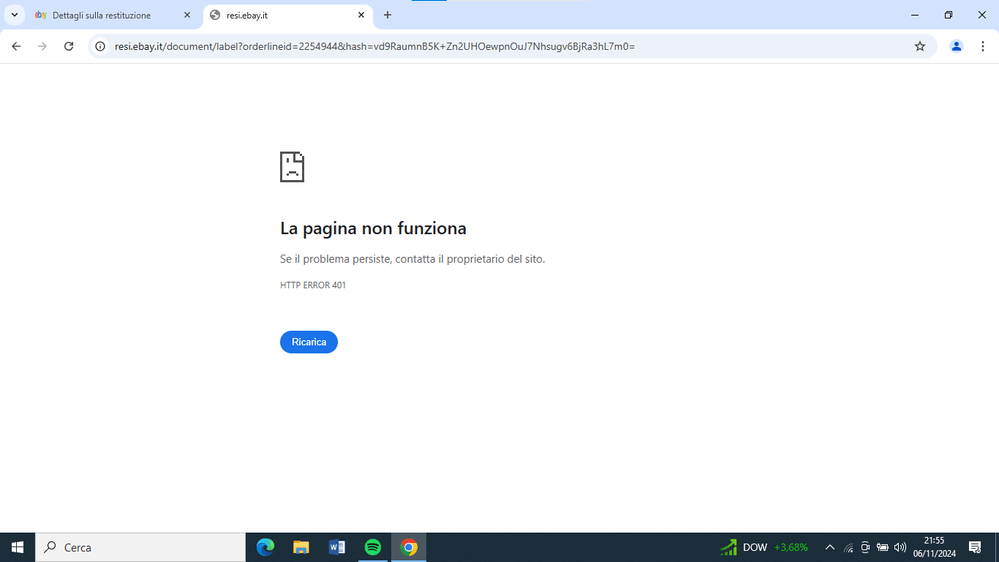Immagine 2024-11-06 215509.png